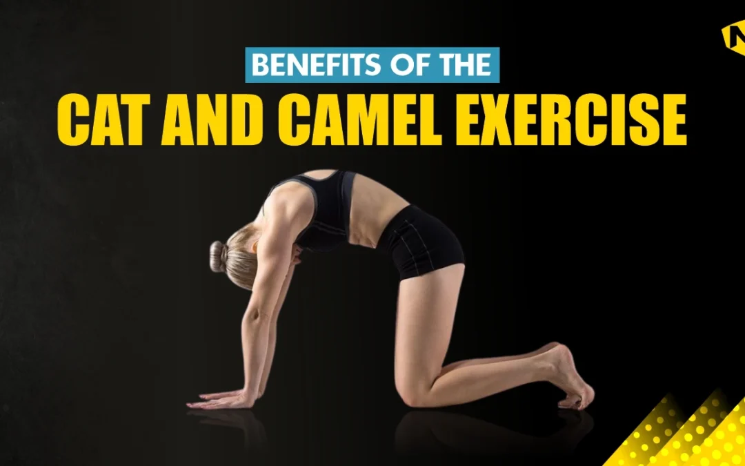 5 Benefits of the Cat and Camel Exercise You’ll Love: How to do it and More