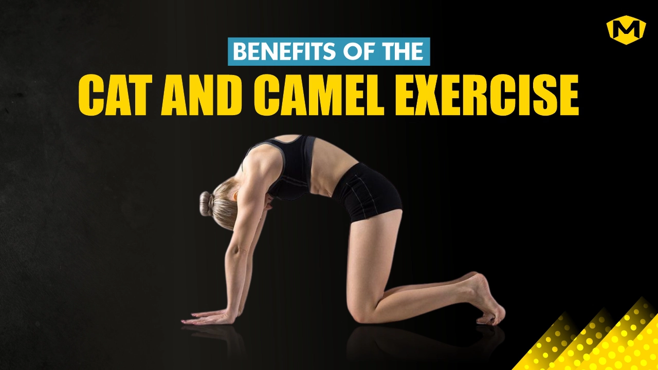 ngo-illustration-Artboard 5