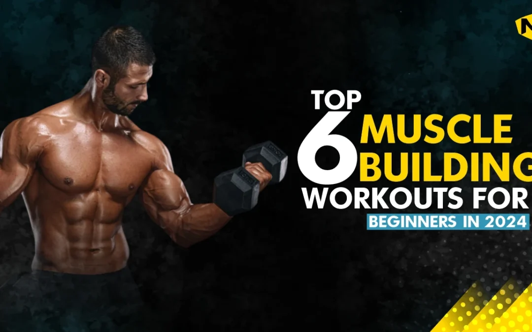 Top 6 Muscle-building workouts for beginners in 2024