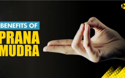 Understanding Prana Mudra: It’s Benefits, How to do it & More